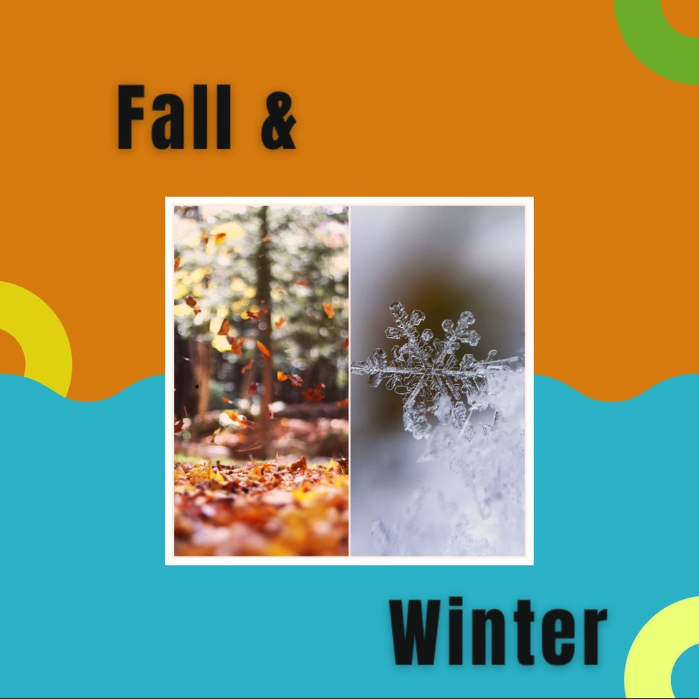 ❗️Everything Fall & Winter Tops❗️